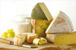 HolsteinUK Education - Cheese
