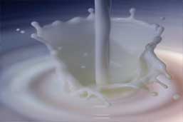 HolsteinUK Education - Milk