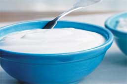 HolsteinUK Education - Yoghurt